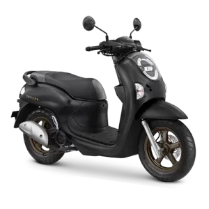Honda Scoopy 110